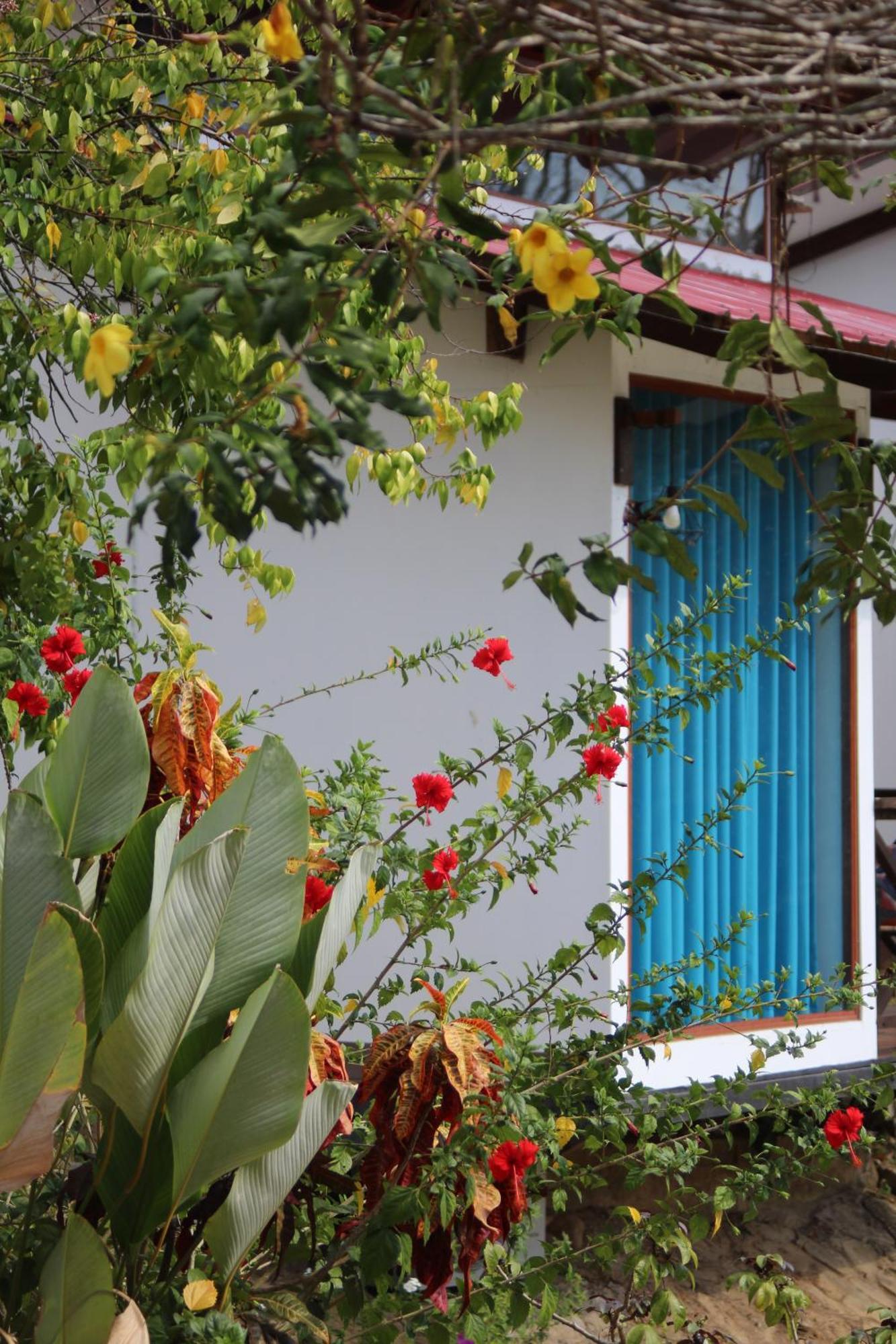Hacienda Don Vicente Bungalows-Tarapoto Exteriör bild